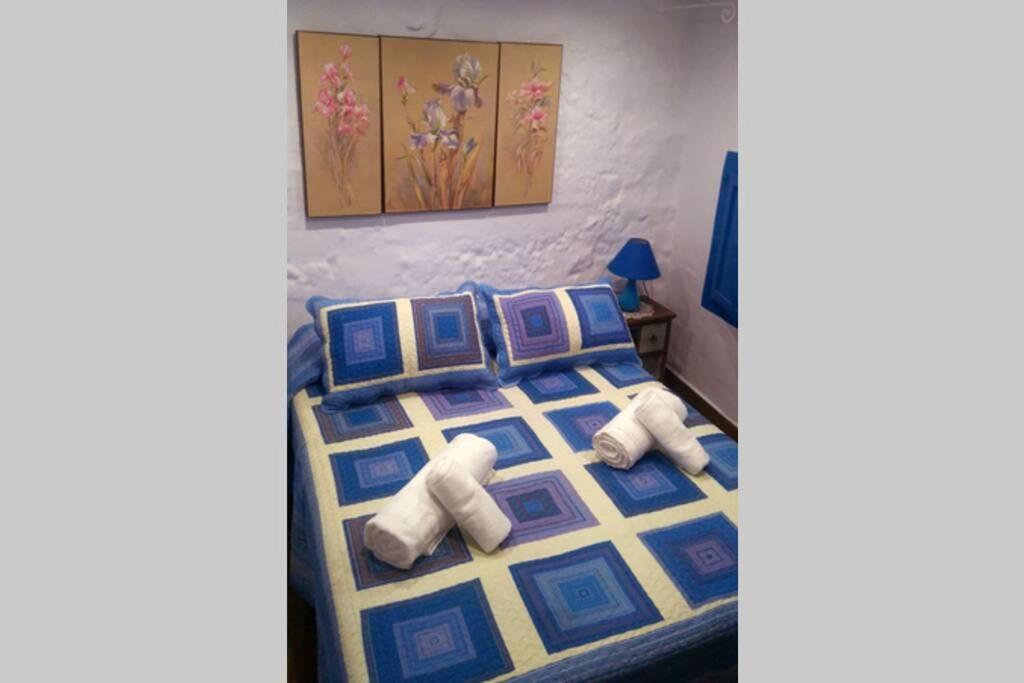 La Casita Azul,Apartamento Encantador Фріхіліана Екстер'єр фото
